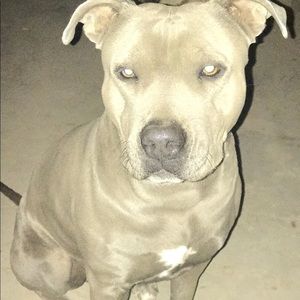 Meet your Posher, Lidia